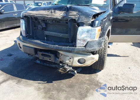 2009 Ford F-150 Fx4/King Ranch/Lariat/Platinum/Xl/Xlt from USA, damaged, VIN 1FTPW14V39FA85192